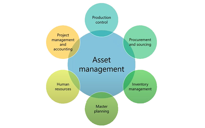 Asset Management in Business